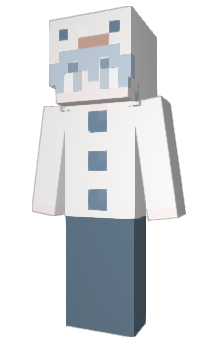 Minecraft skin Paketikk