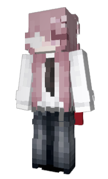 Minecraft skin ninibrs