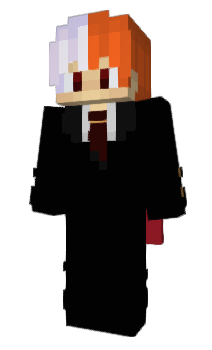 Minecraft skin knapp