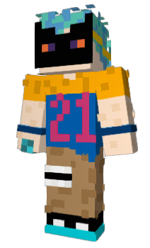 Minecraft skin Flysitt