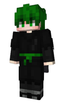 Minecraft skin TuinD