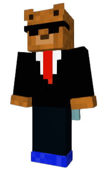 Minecraft skin connexoin