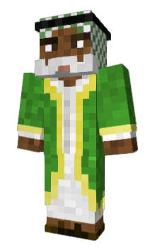 Minecraft skin 8929