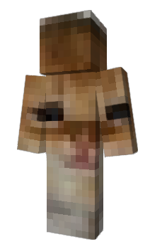 Minecraft skin sillyheet