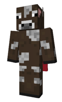 Minecraft skin Boono