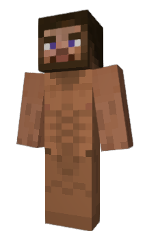 Minecraft skin bulock