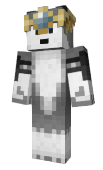 Minecraft skin Da1u