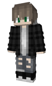 Minecraft skin DFFDH
