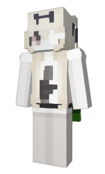 Minecraft скин по нику 360Critz