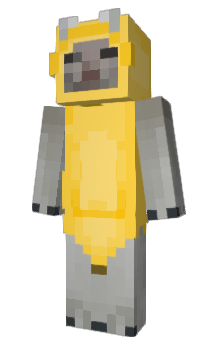 Minecraft skin BebeGato