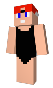 Minecraft скин по нику VanDrieVlogs