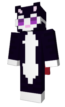 Minecraft skin BoyKit