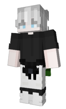 Minecraft скин по нику _wipo