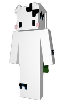 Minecraft skin NLEt