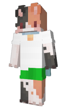 Minecraft skin iRashPop