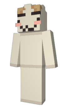 Minecraft skin pochamii