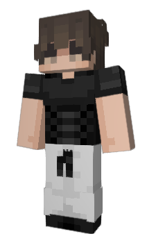 Minecraft skin Raccoonn__