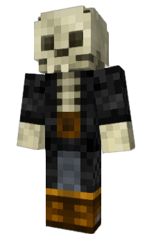 Minecraft skin Raccoonn__