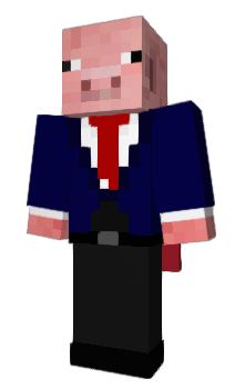 Minecraft skin shannr