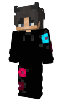 Minecraft skin dcse
