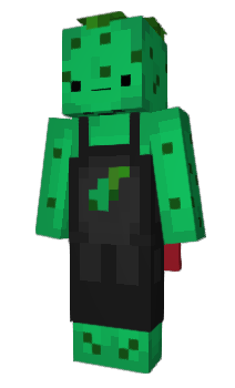 Minecraft skin T0PHC