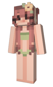 Minecraft skin dirdir