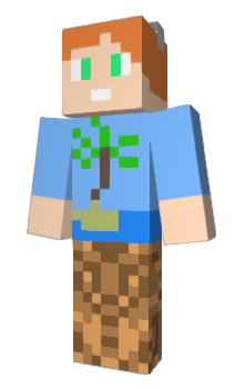 Minecraft skin V4lk