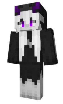 Minecraft skin 9range