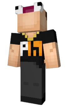 Minecraft skin GS25