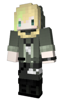 Minecraft skin SLNight