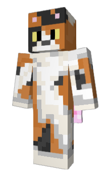 Minecraft скин по нику bronj