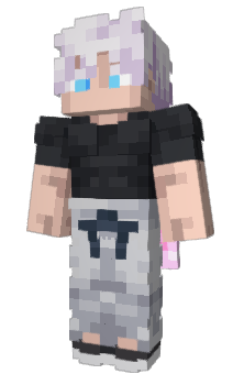 Minecraft skin dussekar