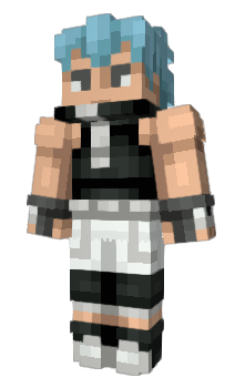 Minecraft skin MeisterBlackStar
