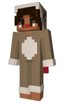 Minecraft skin Raccoin