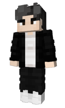 Minecraft skin Panduster