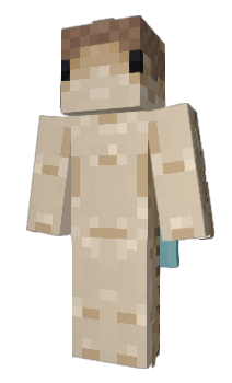 Minecraft скін по ніку Zorlu