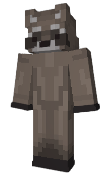 Minecraft skin Shipwr