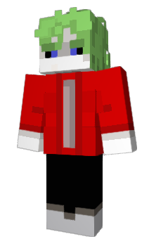 Minecraft skin ImVizi