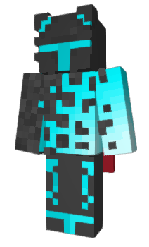 Minecraft skin Tookt