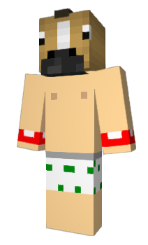 Minecraft skin MTAA