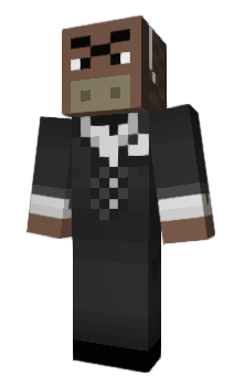 Minecraft скин по нику bisonn