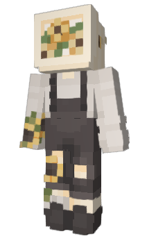 Minecraft скин по нику televis