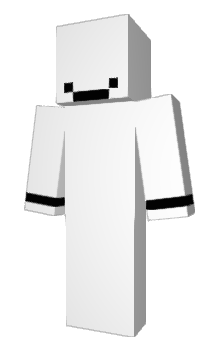 Minecraft skin hightt