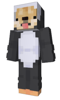 Minecraft скин по нику Assests