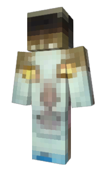 Minecraft skin fatir