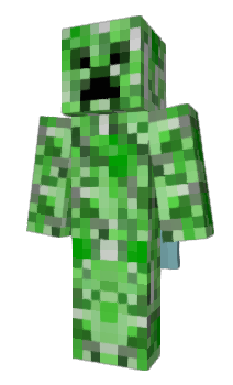 Minecraft skin ansri