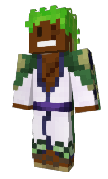 Minecraft skin BlackZoro