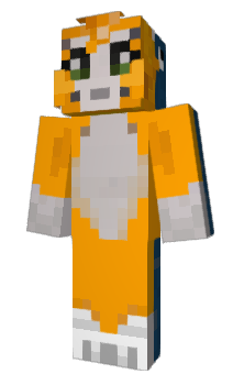 Minecraft skin Proggram