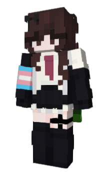 Minecraft skin dudhhr