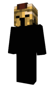 Minecraft skin kindg